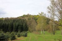 Blick zur Burgruine Lindelbrunn